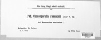 Cercosporella ranunculi image